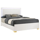 Marceline Panel Bed with LED Lighting