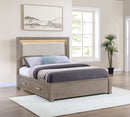 Kenora Panel Platform Storage Bed with LED Lighting