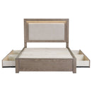Kenora Panel Platform Storage Bed with LED Lighting