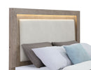 Kenora Panel Platform Storage Bed with LED Lighting