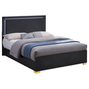 Marceline Panel Bed with LED Lighting