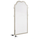 Evangeline Floor Mirror with LED Lighting