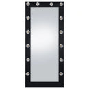 Zayan Floor Mirror with LED Lighting