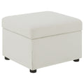 Winter Storage Ottoman