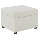 Winter Storage Ottoman