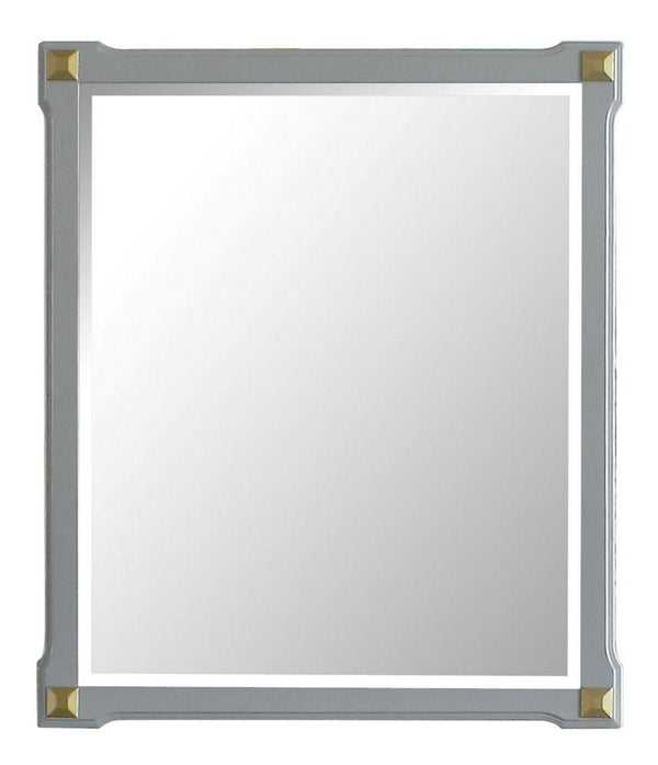 Acme Furniture House Marchese Mirror in Pearl Gray 28864 image