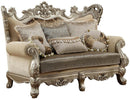 Acme Furniture Ranita Loveseat in Champagne 51041