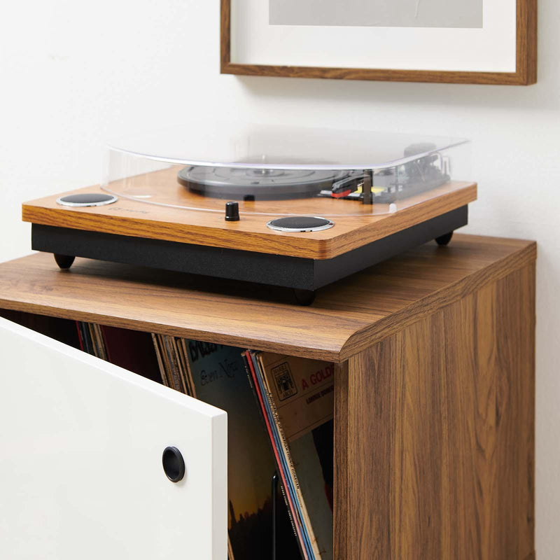 Envision Vinyl Record Display Stand