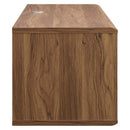 Envision 46" Wall Mount TV Stand