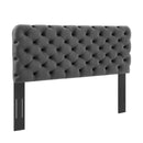 Lizzy Tufted Twin Performance Velvet Headboard
