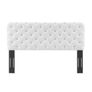 Lizzy Tufted King/California King Performance Velvet Headboard