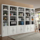 Parker House Catalina 6 Piece Small Library Wall with Ladder