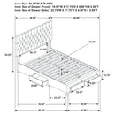 Soledad Panel Platform Storage Bed