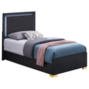 Marceline Panel Bed with LED Lighting