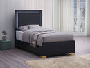 Marceline Panel Bed with LED Lighting