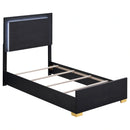 Marceline Panel Bed with LED Lighting