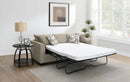 Storey Fold-Out Sleeper Sectional Sofa